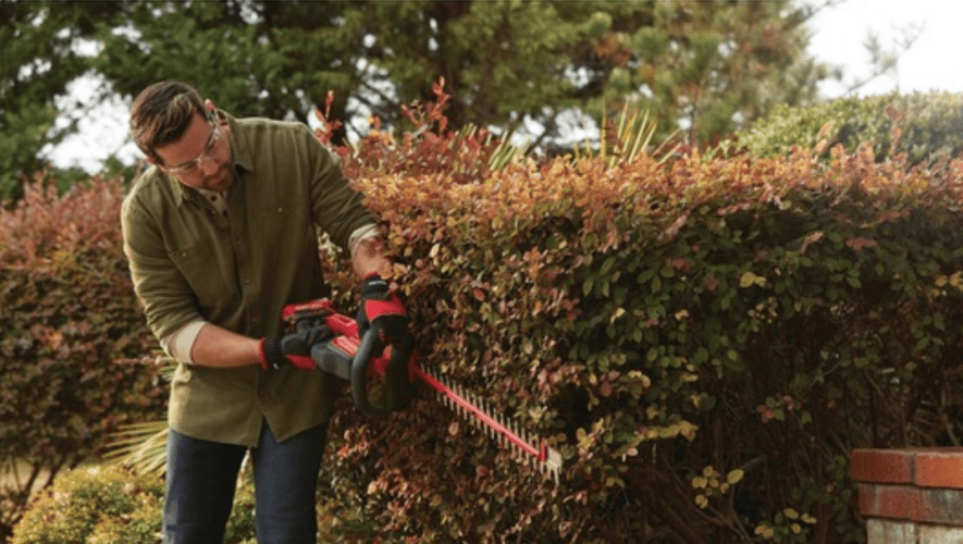 Craftsman 22-inch Cordless Hedge Trimmer