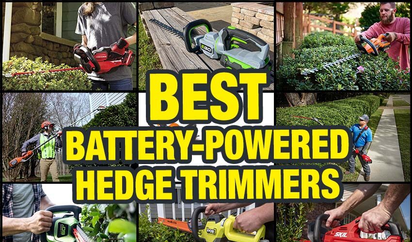 Best Battery-Powered Hedge Trimmer Reviews