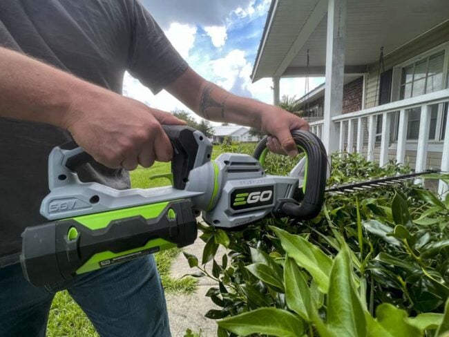 Best Battery-Powered Hedge Trimmers 2026 - PTR