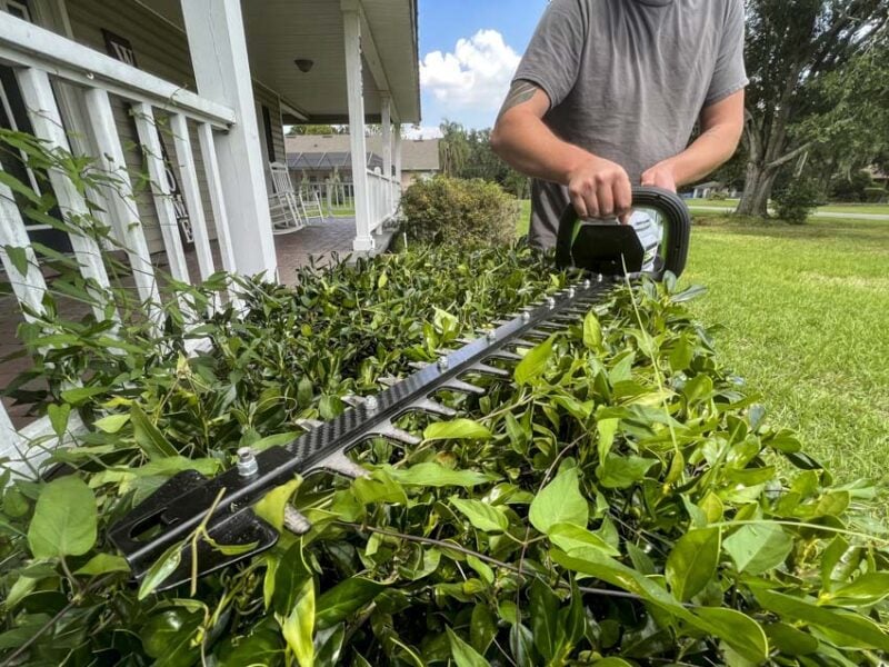 EGO Carbon Fiber Hedge Trimmer