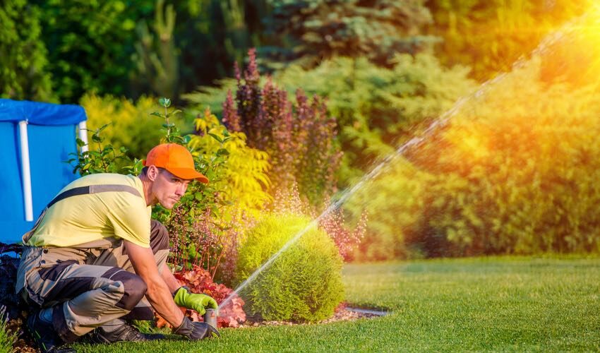 best lawn sprinklers lawns budgets