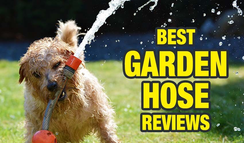 Best Garden Hose Reviews