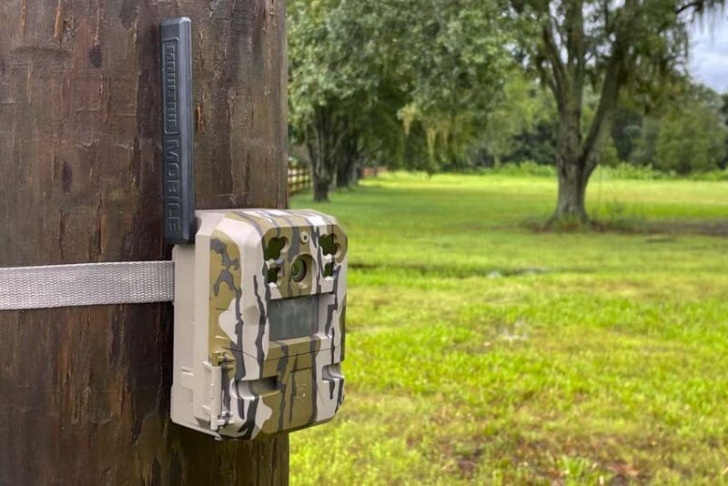 https://www.protoolreviews.com/wp-content/uploads/2023/08/Moultrie-Game-Camera-06-800x534.jpg