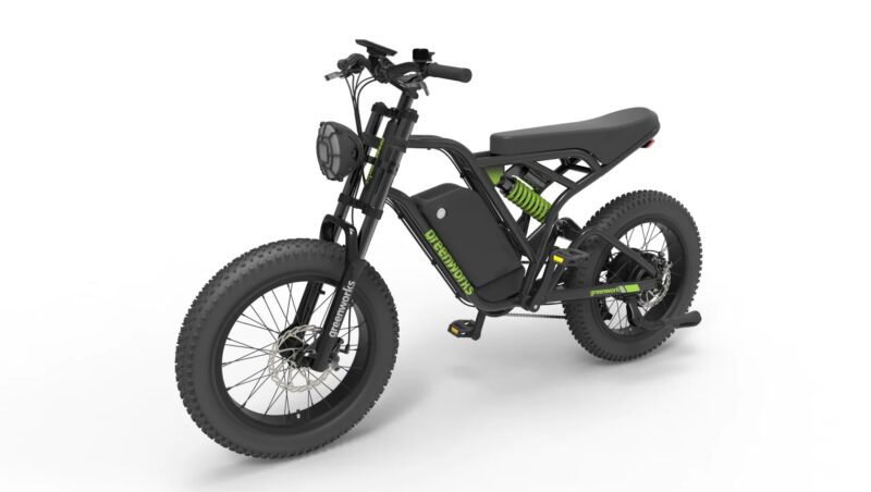 Greenworks Electric Bike
