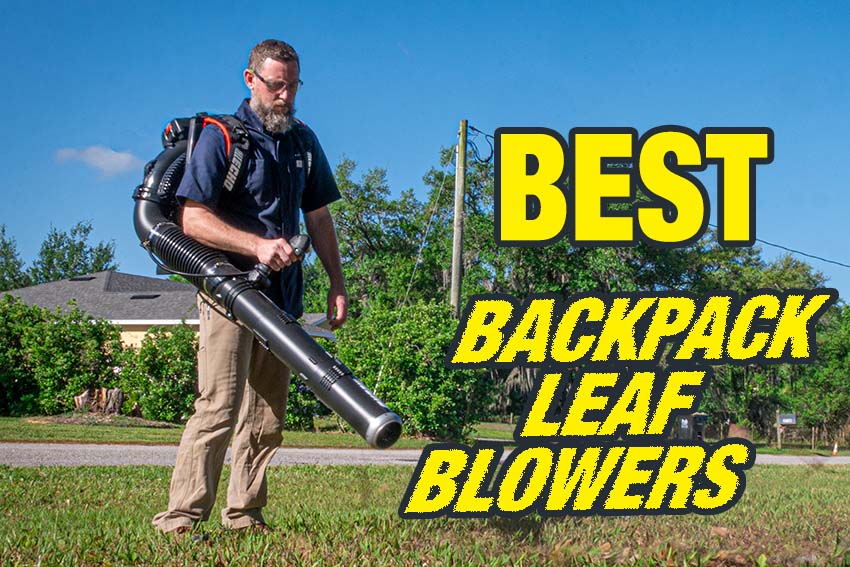 Best Backpack Leaf Blower Reviews