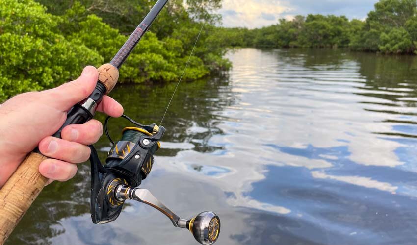 Penn Authority Spinning Reel Review