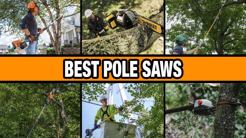 best pole saw reviews