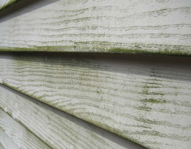 faded and algae-covered vinyl siding