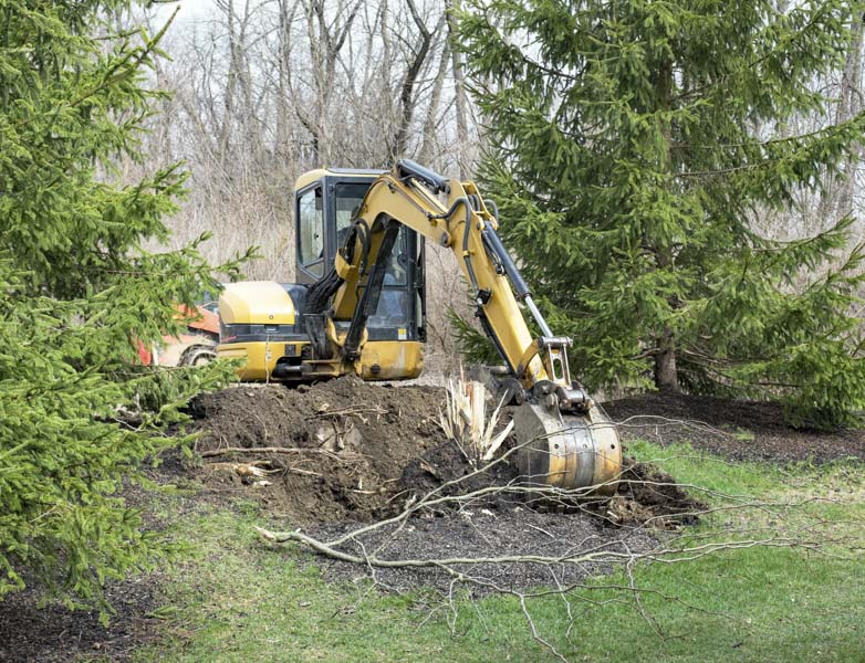 tree removal using an excavator