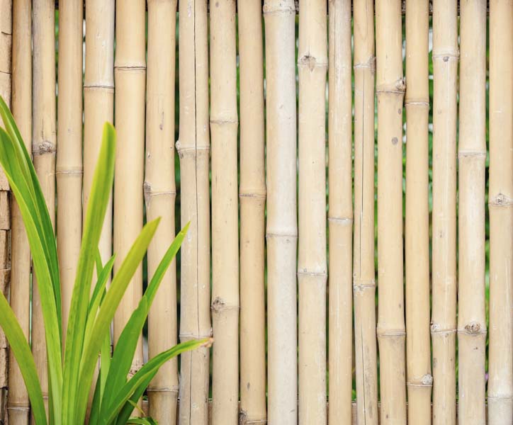 types of exotic wood

bamboo