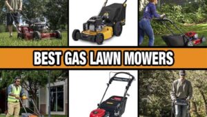 best gas lawn mower