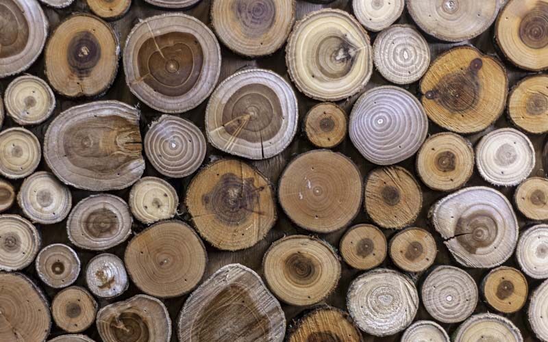 types of wood