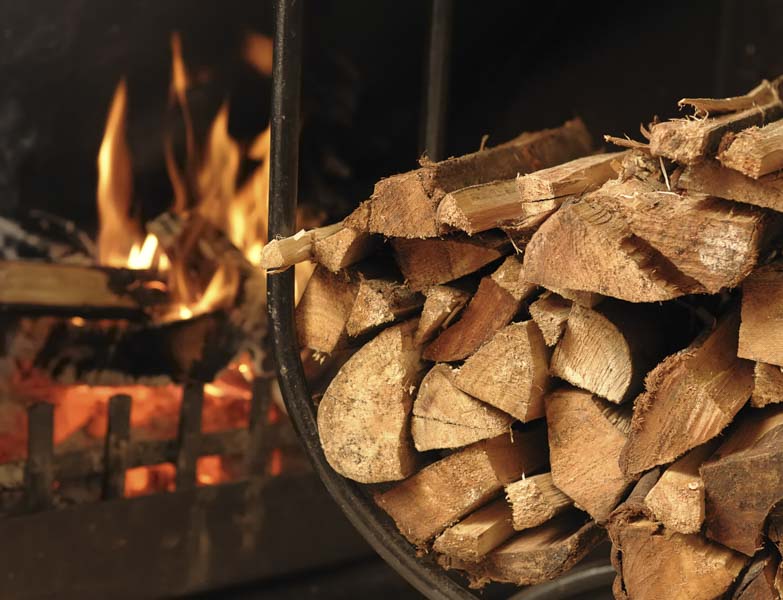 wood burning fireplace