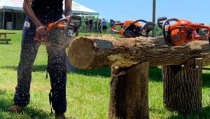 chainsaw safety rules