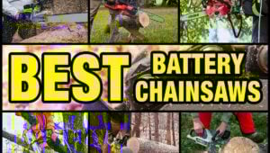 Best Battery-Powered Chainsaws 2025