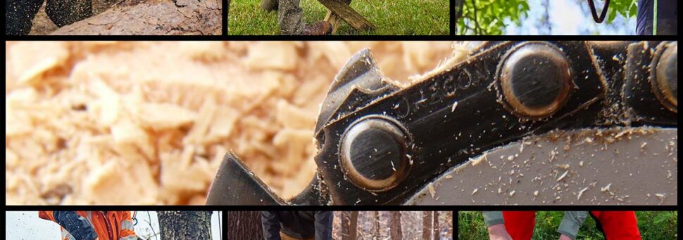 Best Battery-powered Chainsaws