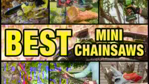 Best Mini Chainsaw