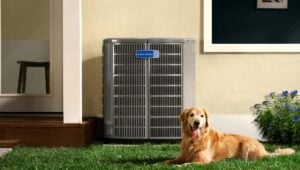 Why This Fall is the Best Time to Upgrade to a Heat Pump