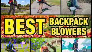Best Backpack Leaf Blowers 2025