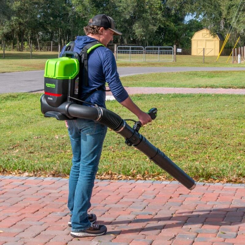 Best Battery-Powered Backpack Leaf Blower: Greenworks Commercial BB361