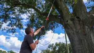 Milwaukee Pole Saw and Pruner