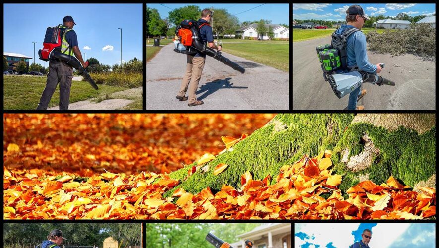best battery backpack blower reviews