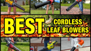 Best Cordless Leaf Blower 2025
