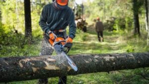 Husqvarna 450X Chainsaw