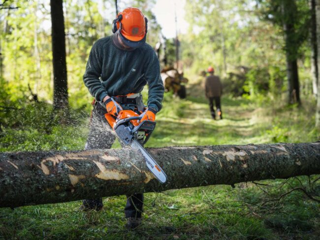 Cutting Edge News: Husqvarna Announces 5 New Chainsaws - Pro Tool Reviews