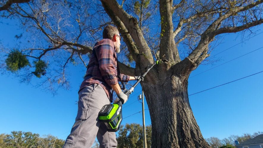 Greenworks 82V Optimus Telescoping Pole Saw