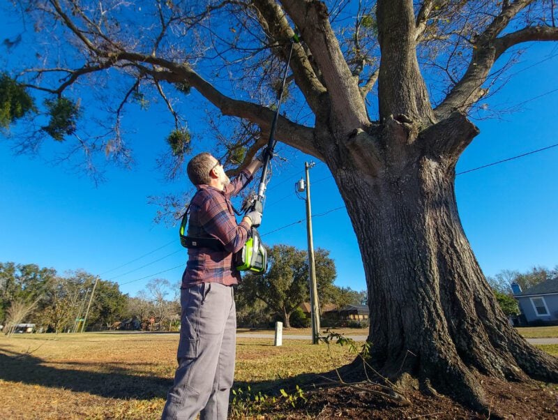 Greenworks 82V Optimus Telescoping Pole Saw