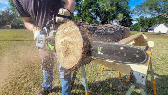 EGO 56V 18-Inch Chainsaw CS1810