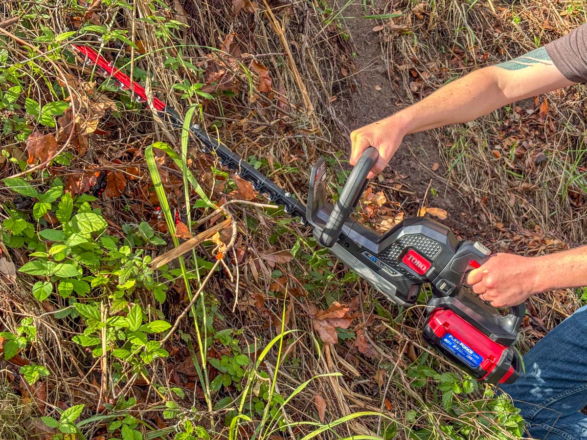 Best Battery-Powered Hedge Trimmers 2026 - PTR