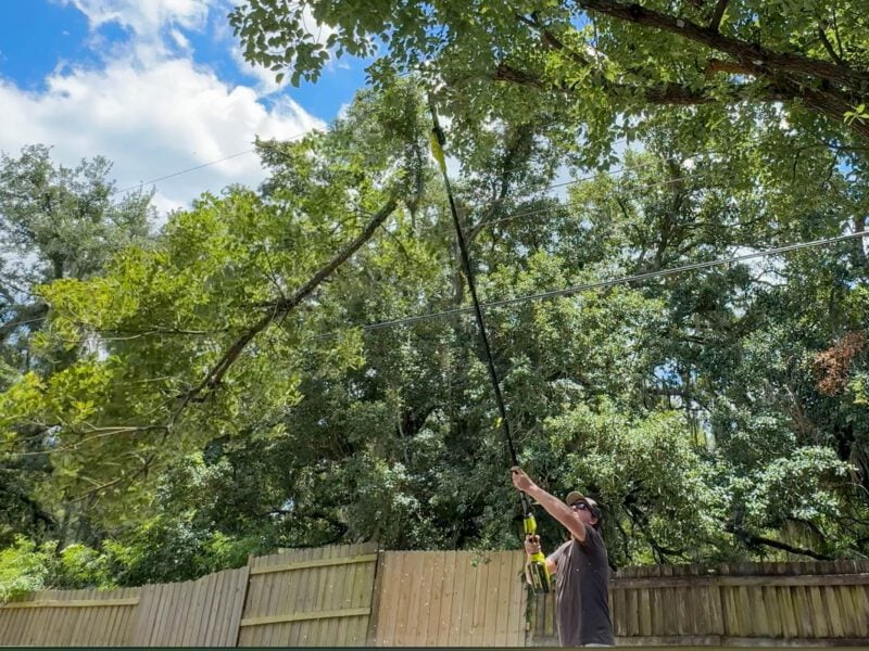 Storm Prep: Ryobi 40V HP Brushless 10-Inch Pole Saw Review