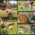 Best Battery-Powered Chainsaws for Pros and Homeowners 2026