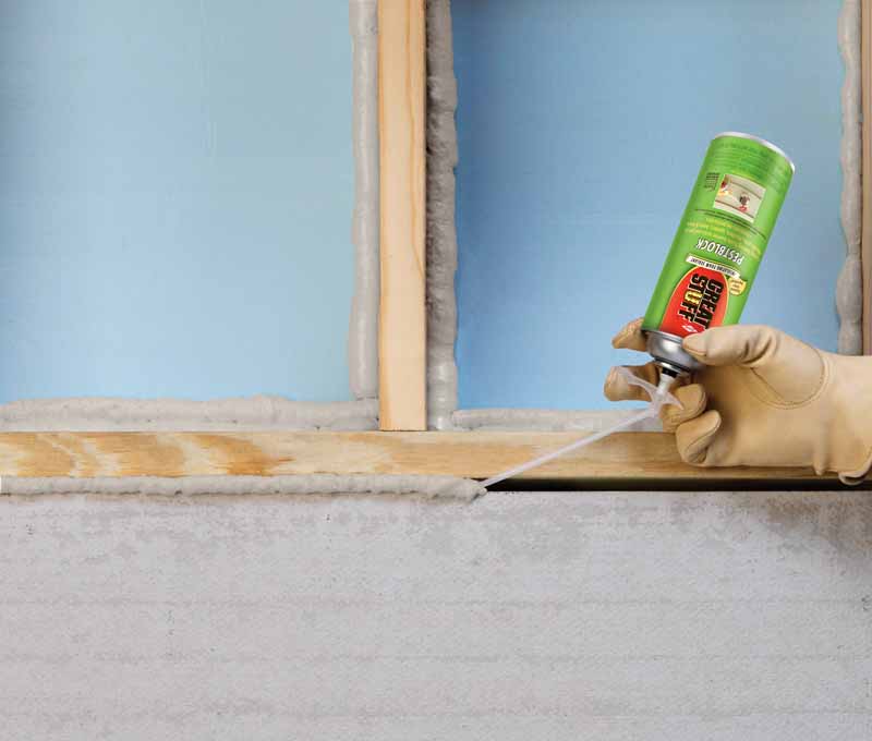 Great Stuff Pestblock Insulating Foam Sealant Preview